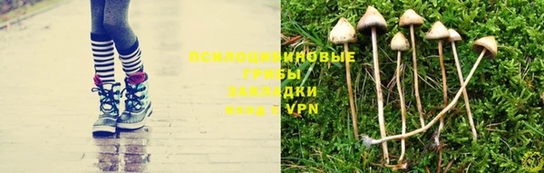 ешки Абдулино