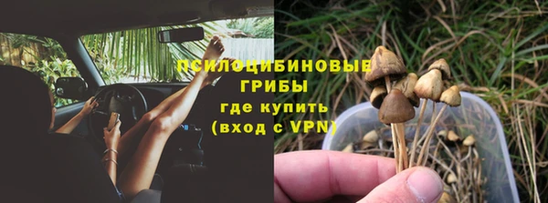 МДПВ Абаза