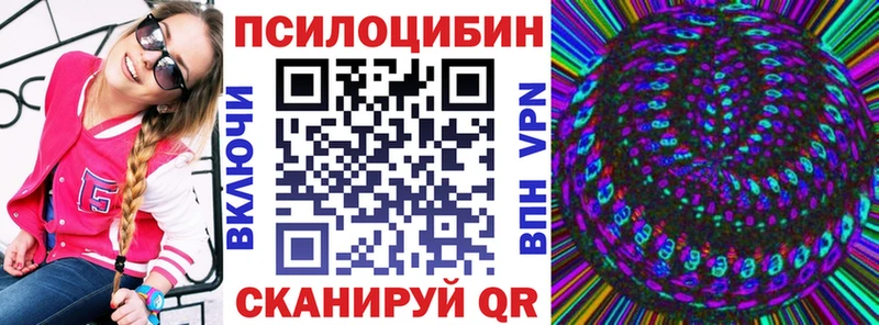 Псилоцибиновые грибы Psilocybine cubensis  Мамадыш 